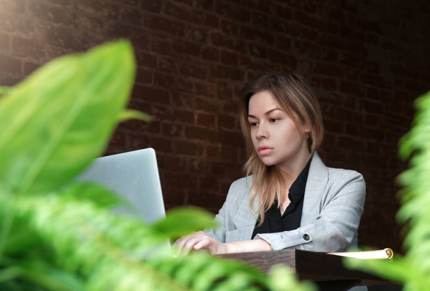  девушка с ноутбуком в офисе, в котором есть много зеленых цветов  - Фото, изображение