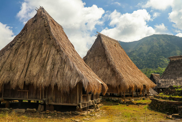 Doğu Nusa Tenggara 'daki Kelimutu yakınlarındaki Wologai köyünde iki geleneksel ev.. - Fotoğraf, Görsel