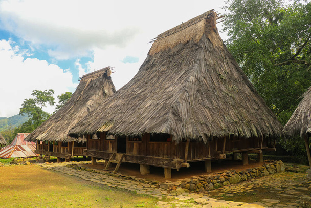 Δύο παραδοσιακά σπίτια στο χωριό Wologai κοντά στο Kelimutu στην ανατολική Nusa Tenggara. - Φωτογραφία, εικόνα