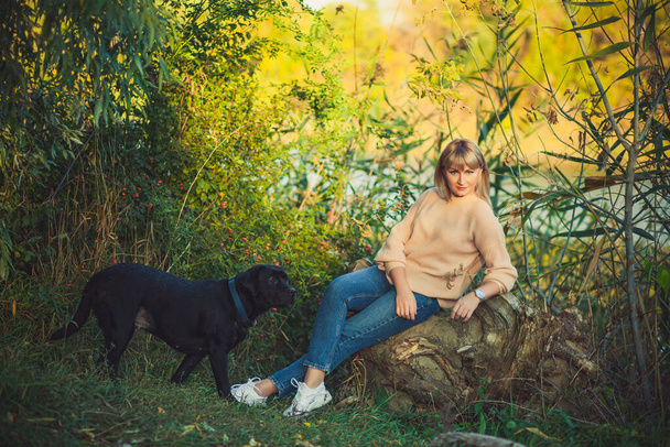 A blonde woman in a knitted sweater with a short haircut is sitting on a fallen tree and a black rottweiler dog runs around in the forest. Nature walks with pets. - Photo, Image