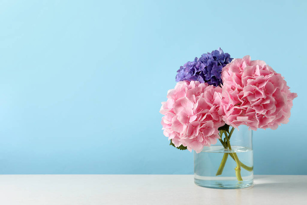 Vase with beautiful hortensia flowers on white table against light blue background. Space for text - 写真・画像