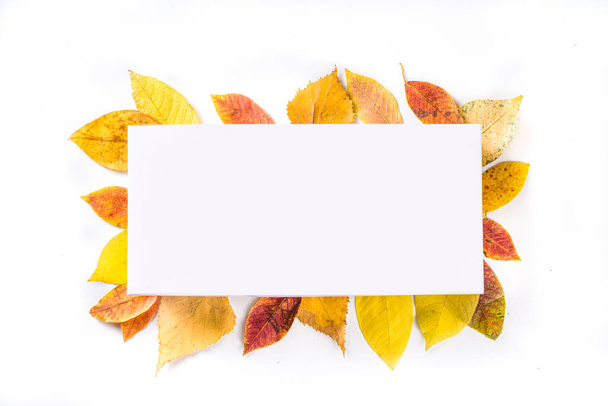  Composición del marco de otoño, con hojas de otoño de color rojo amarillo sobre fondo blanco. Concepto de tarjeta de felicitación navideña de Acción de Gracias. Flatlay, vista superior, espacio para copiar  - Foto, imagen