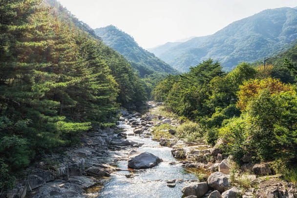 Mureung valley creek water in Donghae, South Korea. - Fotoğraf, Görsel