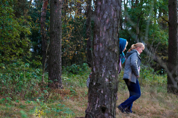 Çam ormanlarında yürüyen iki kadının dış görünüşü. Mantar toplama mevsimi, eğlence ve insan konsepti, sonbahar ormanlarında yürüyen anne ve kız. İnsanlar kaybetti. Odaklanamıyorum. - Fotoğraf, Görsel