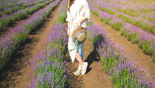 夏のフィールドに美しい紫色のラベンダーの花を歩くラベンダーの花束と麦藁帽子と白いリネンのドレスの女の子。暖かく、インスピレーションの概念。欲望と旅. - 写真・画像