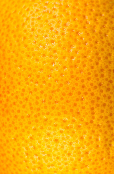 グレープフルーツの皮の質感の写真を閉じます。エキゾチックな熟した果実、オレンジの背景、マクロビュー。人間の皮膚の問題の概念,にきびとセルライト.美しい自然壁紙. - 写真・画像