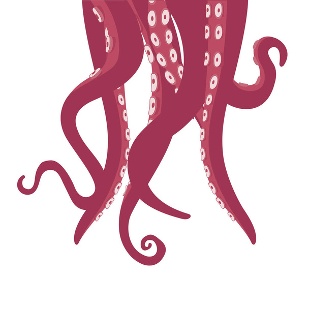 Tentacles of octopus isolated on white background. raster - Foto, Imagem