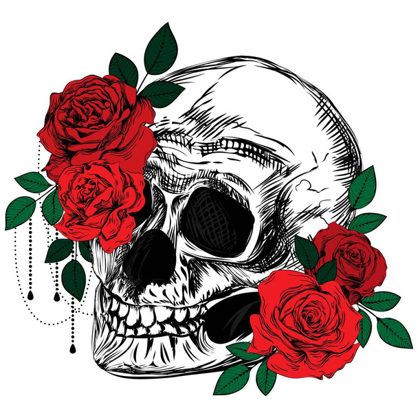 A bouquet of roses and a skull. Colored botanical line art illustration. Sketch. Gothic vintage tattoo. - Vektor, obrázek