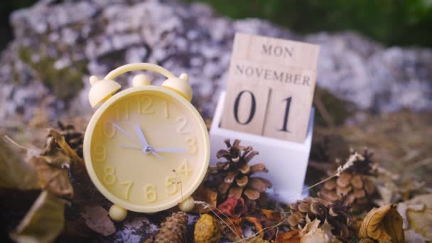 daylight savings time ends first november - Footage, Video