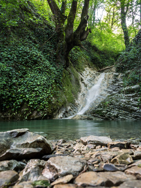 層状の岩の美しいきれいな滝は、高速ストリームで洗礼フォントに流れ込みます。滝のふもとにアクアマリンフォント。森の中の水の中の石。男のいない山の風景. - 写真・画像