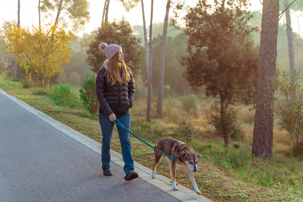 Young woman walking and educating her dog in nature with the rays of the morning sun, warm glow and long shadows. Friendship and animal love concept. Autumn scenery. - Photo, Image