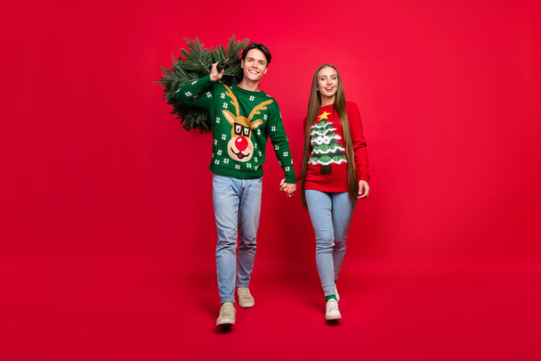 Photo of cheerful lovely couple hold hands guy carry x-mas tree wear ugly sweater isolated red color background - Fotografie, Obrázek