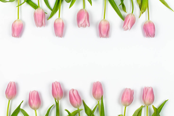 Рожеві тюльпани розташовані в ряд зверху і знизу на білому тлі весняна квіткова рамка
. - Фото, зображення