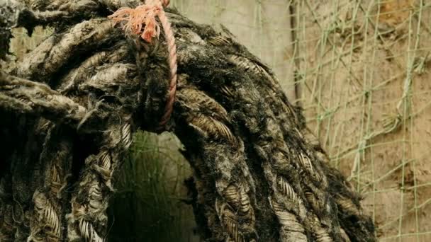 Seil wird in Nahaufnahme in die Bucht gerollt - Filmmaterial, Video