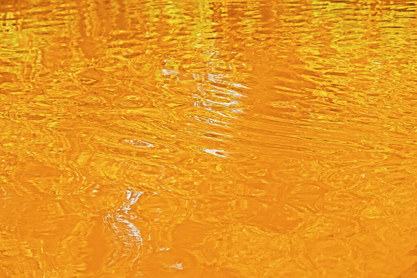 Yellow water at sunset in autumn - 写真・画像