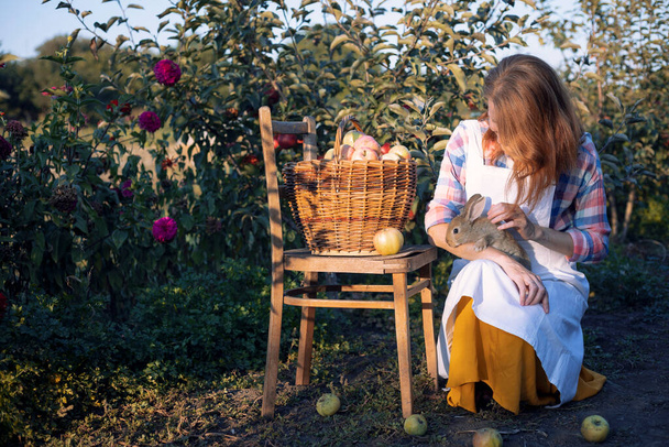 happy girl in the garden holds a rabbit in her arms and a basket of apples nearby. aesthetics of rural lif - Foto, afbeelding