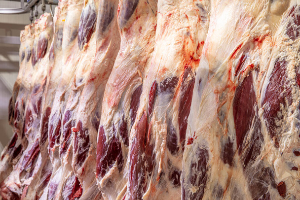 Abattoir Free Stock Photos, Images, and Pictures of Abattoir