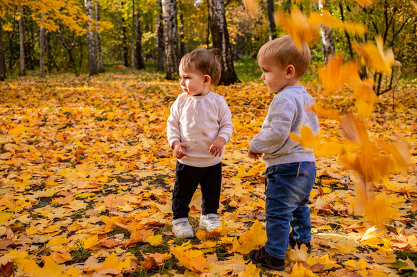 vidám gyerekek fogása juharfalevél alá ősszel város Park. - Fotó, kép