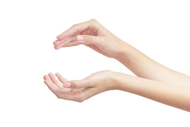 красива жіноча рука на білому фоні жест
 - Фото, зображення