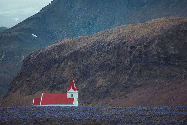 Tie laavakallioiden läpi lähellä Islantia pilvisenä kesäpäivänä. Upeat laavakentät ja tien lävistykset. - Valokuva, kuva