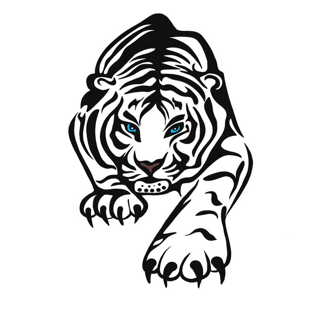 Una ilustración de un tigre o un gato salvaje con enormes garras y colmillos. Un depredador sediento de sangre antes de cazar a una víctima. Una idea para un tatuaje. un pariente de un león, puma, leopardo o guepardo - Foto, Imagen