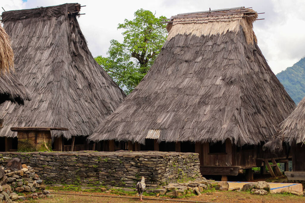 Twee traditionele huizen in het Wologai dorp nabij Kelimutu in Oost-Nusa Tenggara. - Foto, afbeelding