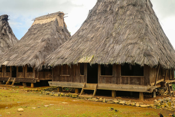 Due case tradizionali nel villaggio di Wologai vicino a Kelimutu nella Nusa orientale Tenggara. - Foto, immagini