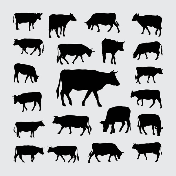 Silhouette de vache. Un ensemble de silhouettes de vache - Vecteur, image
