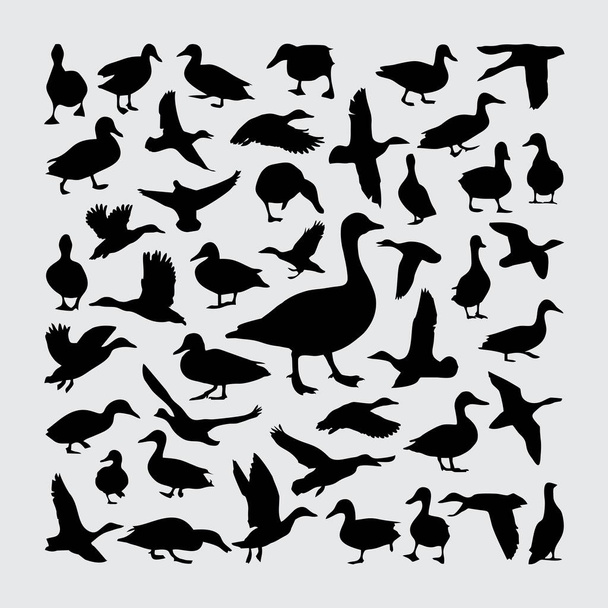 Silhouette de canard. Un ensemble de silhouettes de canard - Vecteur, image