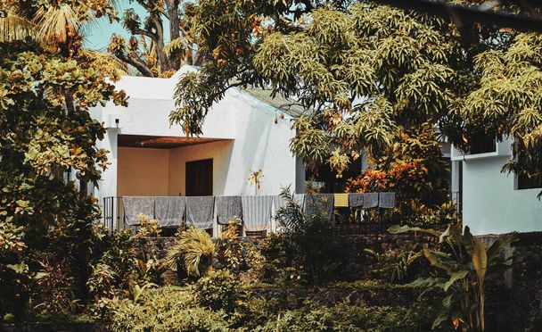 Een verticaal schot van een witte cottage omringd door weelderige tropische natuur - Foto, afbeelding