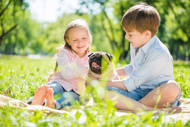 Girl in summer park with their dog - Фото, зображення