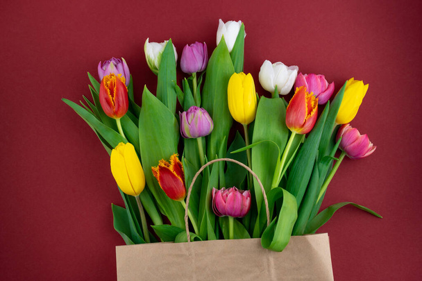 Multicolored tulips on a red background. Spring bouquet. Flowers top view. Beautiful tulip flower background. Tulips close-up - Foto, Imagem