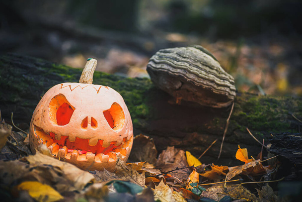 Jack O Lantern, with an evil face. spooky pumpkin for halloween on dry fallen autumn leaves in forest. Mysterious misty Halloween evening background with place for text. Copy space - Photo, Image