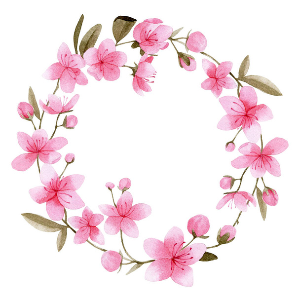 watercolor drawing. a wreath of sakura flowers. round frame of pink flowers and sakura branch, cherry blossoms. - 写真・画像