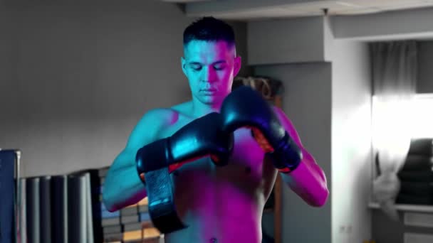 Shirtless νεαρός μποξέρ βάζοντας γάντια μποξέρ σε μπλε και μωβ νέον φωτισμό - Πλάνα, βίντεο