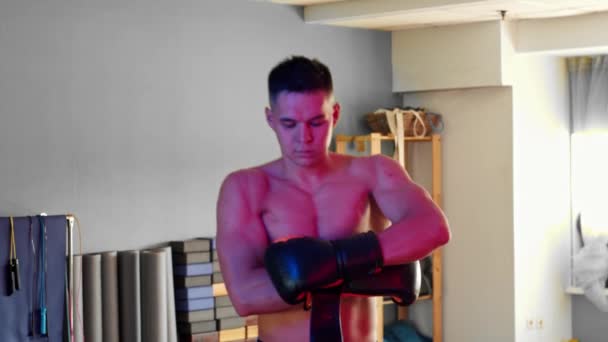 Gömleksiz genç adam boksör boksör boksör eldivenlerini mavi ve kırmızı neon ışığa takıyor - Video, Çekim