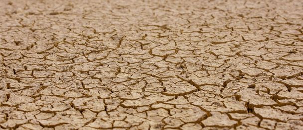Cracked brown mud, barren land surface natural texture - Photo, Image