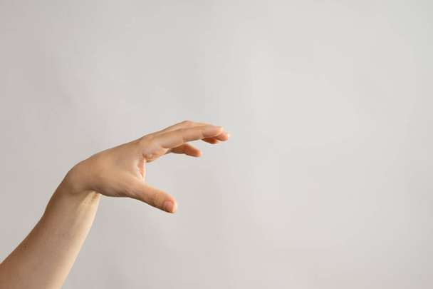 Hand gestures. Zombie hands attack, grabbing something hands with crooked fingers. - Fotografie, Obrázek