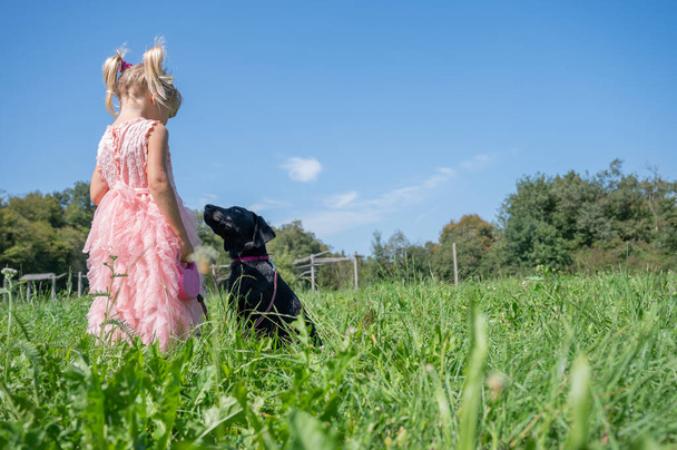 Menina criança em vestido muito rosa de pé no prado verde com seu filhote de cachorro labrador preto bonito olhando para ela atentamente. - Foto, Imagem