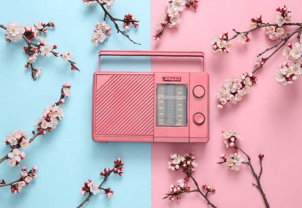 Retro fm rádió gyönyörű fehér virágzó ágak rózsaszín kék háttér. Tavasz, zenei koncepció. Lapos fekvésű, felülnézet - Fotó, kép