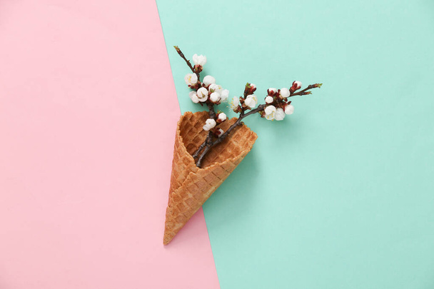 Waffle cone with beautiful white flowering branches on pink blue background. Springtime concept. Flat lay, top view. - Photo, Image