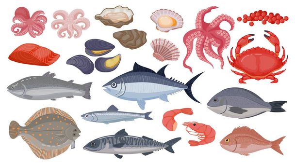 Fresh raw ocean and sea fish, tuna, salmon and herring. Cartoon seafood, shrimp, mussels, scallops, oysters and caviar, shellfish vector set - Vector, Image