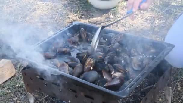 Μύδια θαλασσινών σε κελύφη μαγείρεμα υπαίθρια μπάρμπεκιου mangal με φωτιά και ατμό - Πλάνα, βίντεο