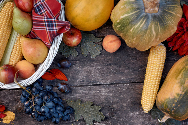 Podzimní estetická rovina ležela: žluté ovoce, zelenina: dýně, hrušky, jablka, meloun a kukuřice. Koncept Den díkůvzdání s místem pro text. Podzimní zátiší. Kvalitní fotografie - Fotografie, Obrázek