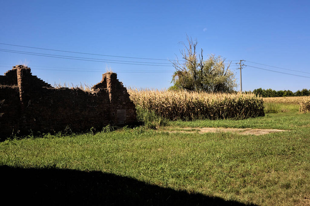 Gebroken stenen muur naast een maïsveld op een heldere dag - Foto, afbeelding