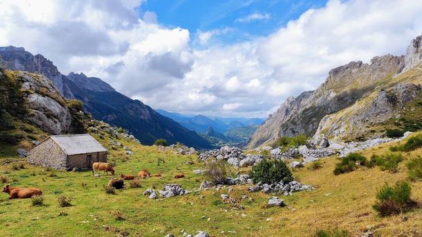 Typical huts in Somiedo Natural Park, Asturias, Spain - Photo, Image