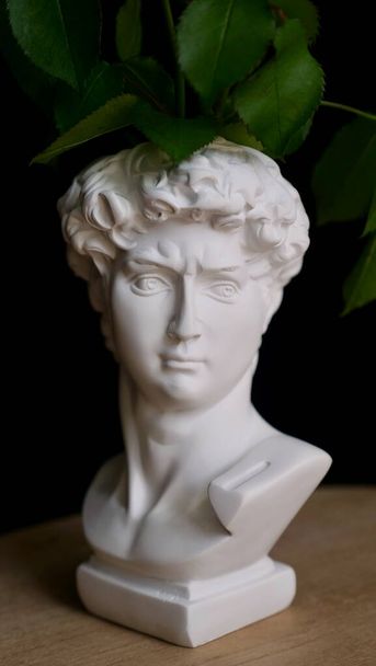 Stílusos modern váza szobor David a virágok - Fotó, kép