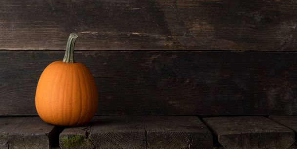 One Halloween pumpkin ready to be carved on a dark wooden background with copy space for text - Photo, image