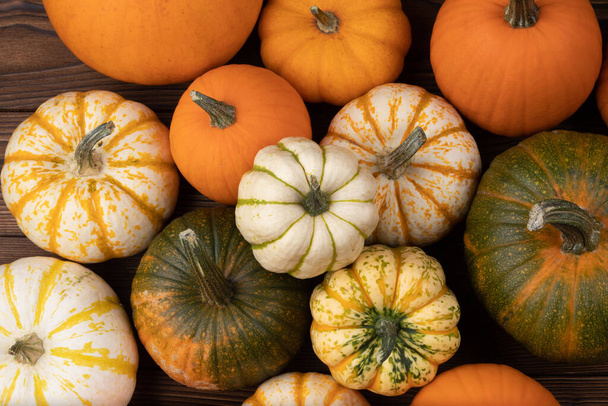 Many various colorful pumpkins background, Halloween or Thanksgiving day concept - Foto, Bild