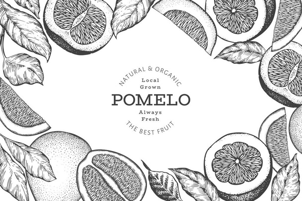 Hand drawn sketch style pomelo banner. Organic fresh fruit vector illustration. Retro fruit design template - Vektör, Görsel